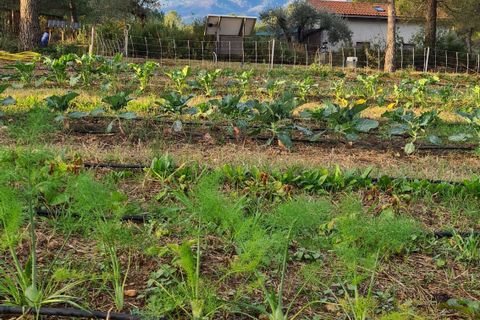 Landejendom i Ginestar, Tarragona, Ginestar - € 185.000 | Ref: CC824 - foto 32